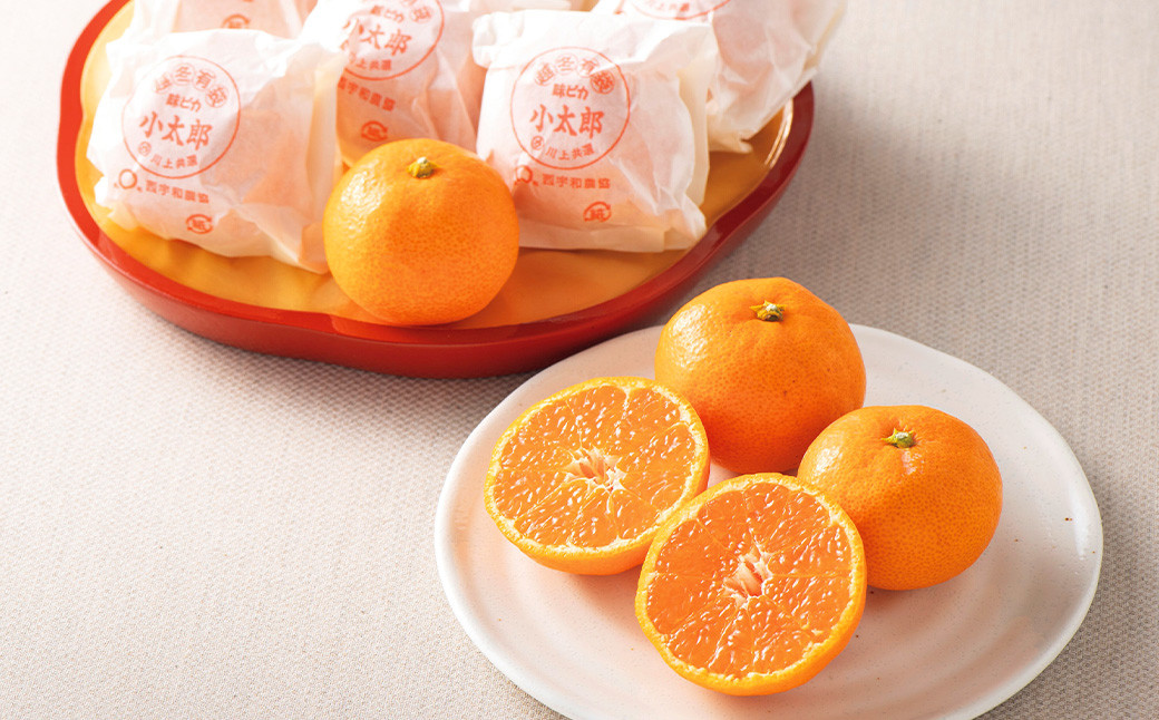 愛媛県産 小太郎みかん 2Sサイズ 720g（12個）【2026年1月上旬～1月下旬発送予定】（872）