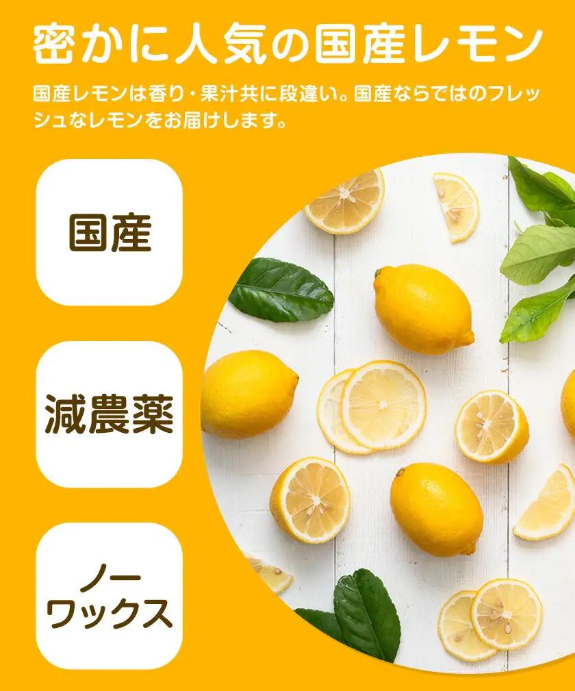 国産 レモン 約5kg ノーワックスレモン
