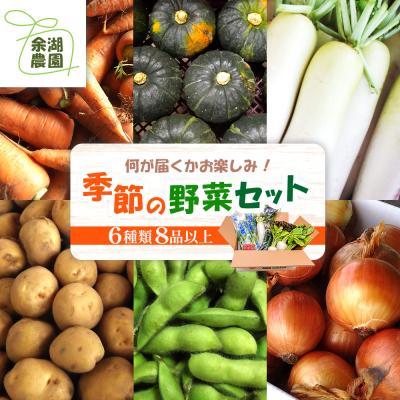 ふるさと納税 恵庭市 北海道産季節の野菜詰め合わせ 6種類8品【31000503】