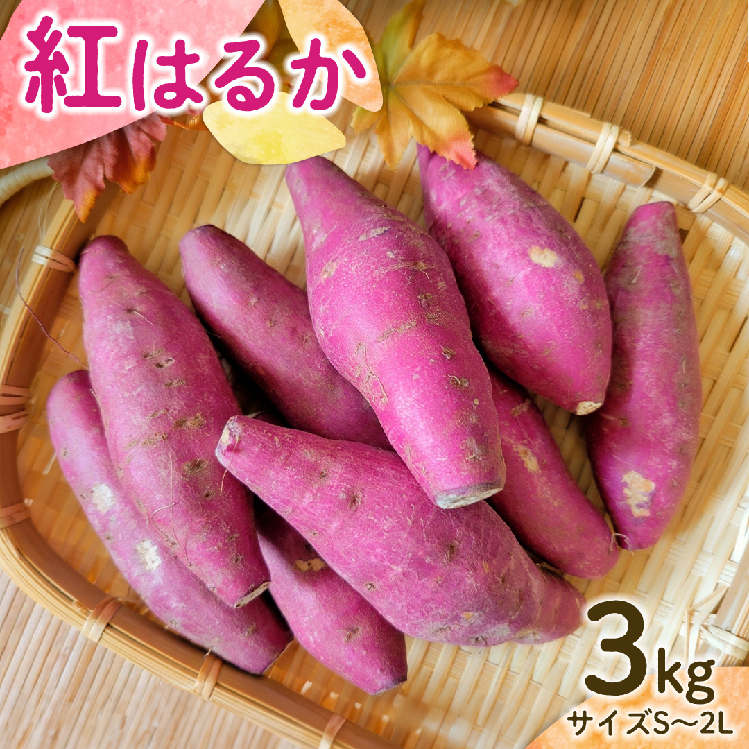 【 先行予約 】 茨城県産 紅はるか 3kg サイズS～2L さつまいも サツマイモ 紅はるか [EG04-NT]_イメージ1