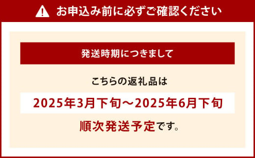 福岡県北九州市若松区産 若松濃縮トマト約2.4kg【1.2kg箱(15玉～30玉入り)×2箱】