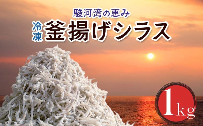 
訳あり 釜揚げ しらす 1kg たっぷり 冷凍 小分け しらす パック 500g 2パック しらす 駿河湾 の恵み シラス サイズ不揃い
