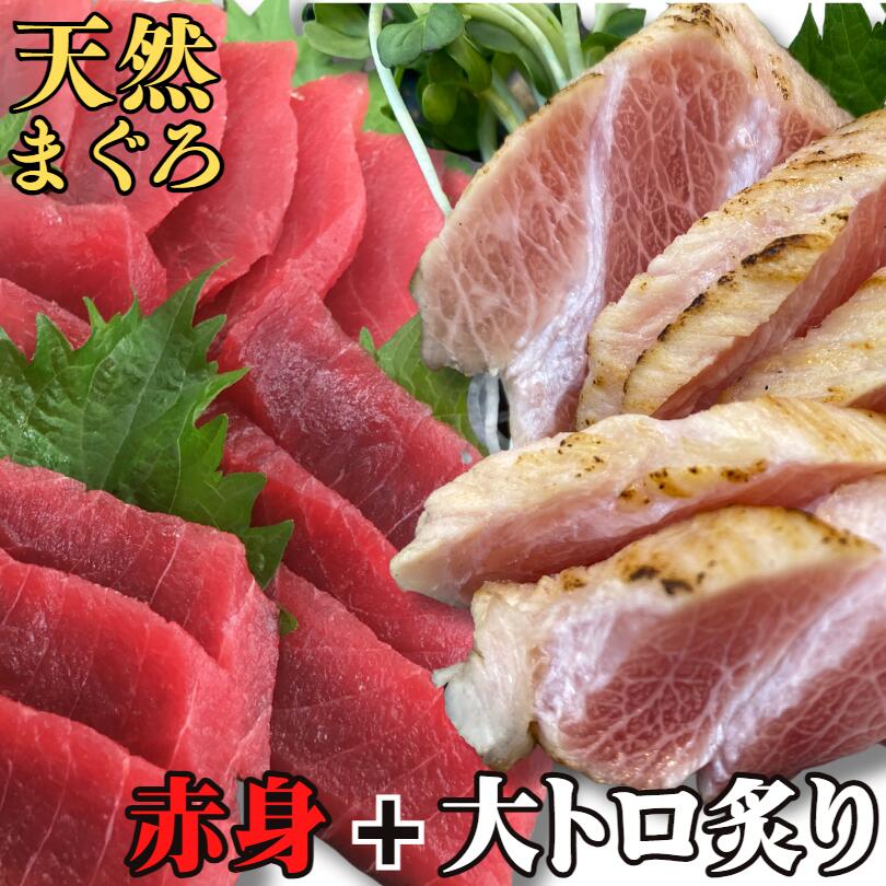 【ふるさと納税】＜選べる配送時期＞ 目鉢まぐろ 大トロ炙りと赤身柵セット 300g まぐろ マグロ 鮪 大トロ トロ メバチマグロ 赤身 刺身 三崎 三崎港 海鮮 魚 魚介 母の日 父の日 敬老の日 湊魚問屋 神奈川 三浦市 おすすめ ランキング プレゼント ギフト