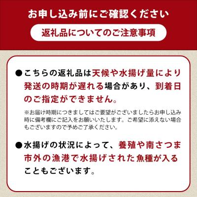 ふるさと納税 南さつま市 【漁師厳選】朝獲れ鮮魚のお刺身詰め合わせ(4種) 冷蔵 鮮魚 生食用 |  | 02