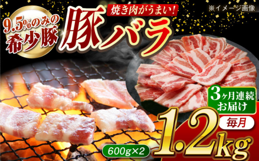 【月1回約1.2kg×3回定期便】大西海SPF豚 バラ（焼肉用）計約3.6kg 長崎県/長崎県農協直販 [42ZZAA093]
