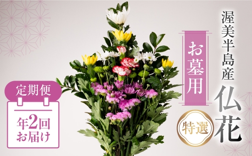 【定期便　年2回】産地直送 《お墓用》 仏花 特選 日時指定可 生産額 日本一 田原市 渥美半島 お彼岸 鮮度 生花 お花 定期便 お墓まいり