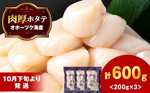 【10月下旬以降発送】 ほたて 冷凍貝柱 冷凍(15粒前後)200ｇ×3パック お取り寄せ 刺身 《横田水産》