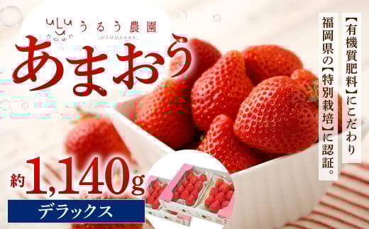 うるう農園 デラックス あまおう 4パック（約1140g）【2026年1月下旬～3月下旬発送予定】いちご イチゴ 苺 フルーツ 果物 福岡県産