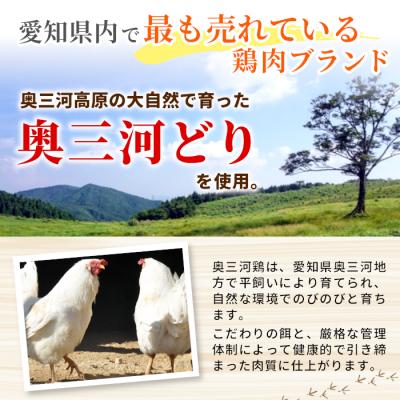 ふるさと納税 設楽町 田口塩鶏 国産 味付け もも肉 500g (250g×2) 鶏肉 味付け肉 奥三河鶏 BBQ |  | 01