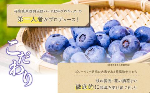 東京農工大学名誉教授「横山　正」ブランドのブルーベリー冷凍果実4パックセット（品種おまかせ）【東和ブルーベリー研究農園】
