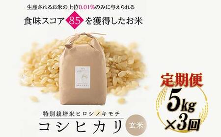 【3回定期】特別栽培米 コシヒカリ ヒロシノキモチ 玄米 5kg 総計15kg 陽咲玲 米 お米 コメ ご飯 ごはん 富山県産 富山県 立山町 F6T-936