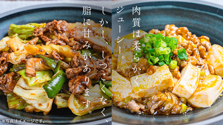 美明豚 切り落とし 1kg & 挽肉 1kg　計 2㎏【茨城県共通返礼品 行方市】 豚肉 国産 銘柄 お手頃 グルメ 茨城県 料理 [CV003sa]