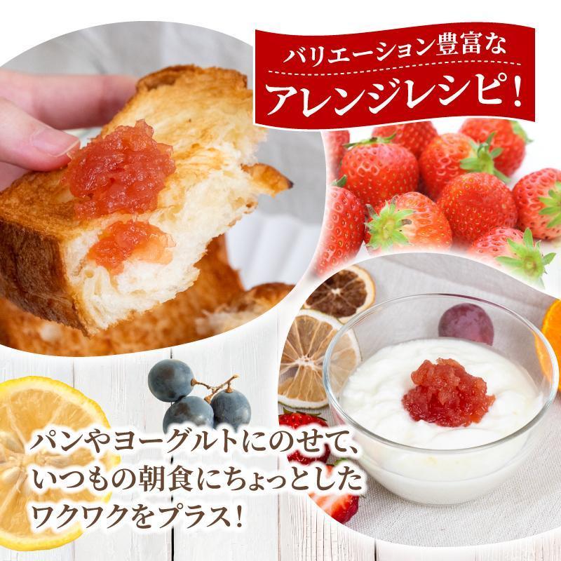 【10月発送】季節の果実ジャム 3種（各100g） パック セット ジャム じゃむ 季節の果実 果物 詰め合わせ フルーツジャム 国産 6000円 6千円 高知県 須崎市 TJ0071 10月