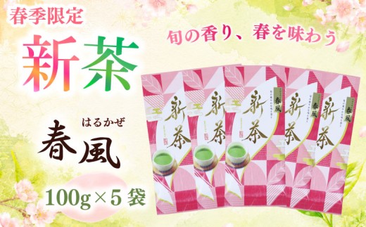 【先行予約】2026年度産 新茶 春風100g×5袋 高級 お中元 父の日 お茶 静岡 新茶 濃旨 緑茶 深蒸し茶 深蒸し 茶 水出し緑茶 水出し 静岡茶  飲料 飲み物 ドリンク 深むし茶 煎茶 セット お茶 茶 深蒸し 煎茶 旬 日常 牧之原産 甘い コク 便利 簡単 お手軽 茶葉 静岡茶 牧之原茶 プレゼント 贈答 贈答品 贈り物 産地直送 国産 日本 人気 静岡 県 牧之原市 相良物産
