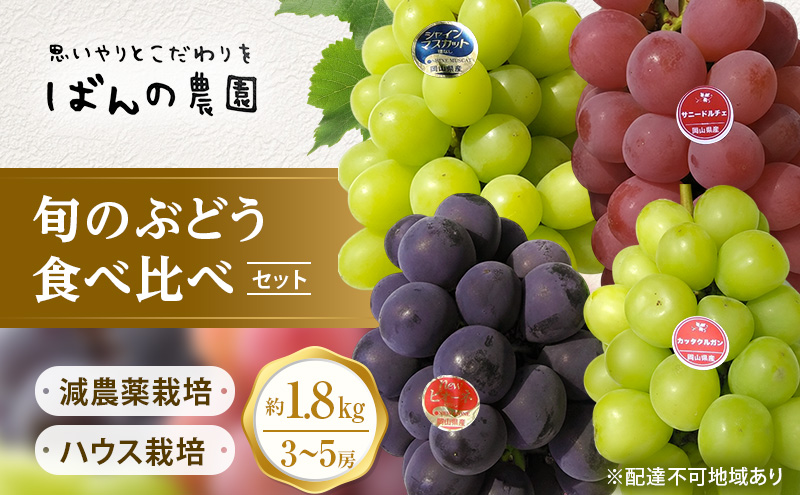 ぶどう 2026年 先行予約 旬のぶどう 食べ比べセット 約1.8kg 3～5房 減農薬／ハウス栽培 ブドウ 葡萄 岡山県産 国産 フルーツ 果物 ギフト ばんの農園 果物類 マスカット ぶどう食べ比べ 