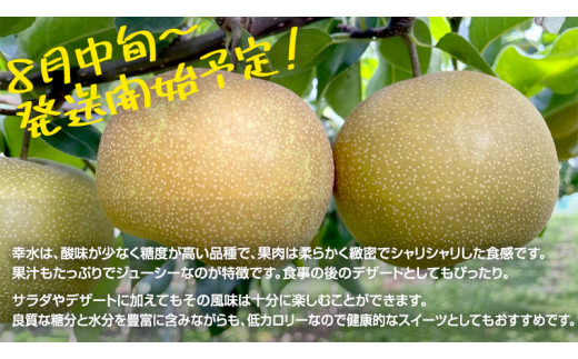【先行予約】幸水 梨 約 5kg 10玉～14玉 【 茨城県共通返礼品 ／ かすみがうら市 】 なし 鈴木農園 産地直送 フルーツ 甘い 直送 茨城 限定 [ED003sa]