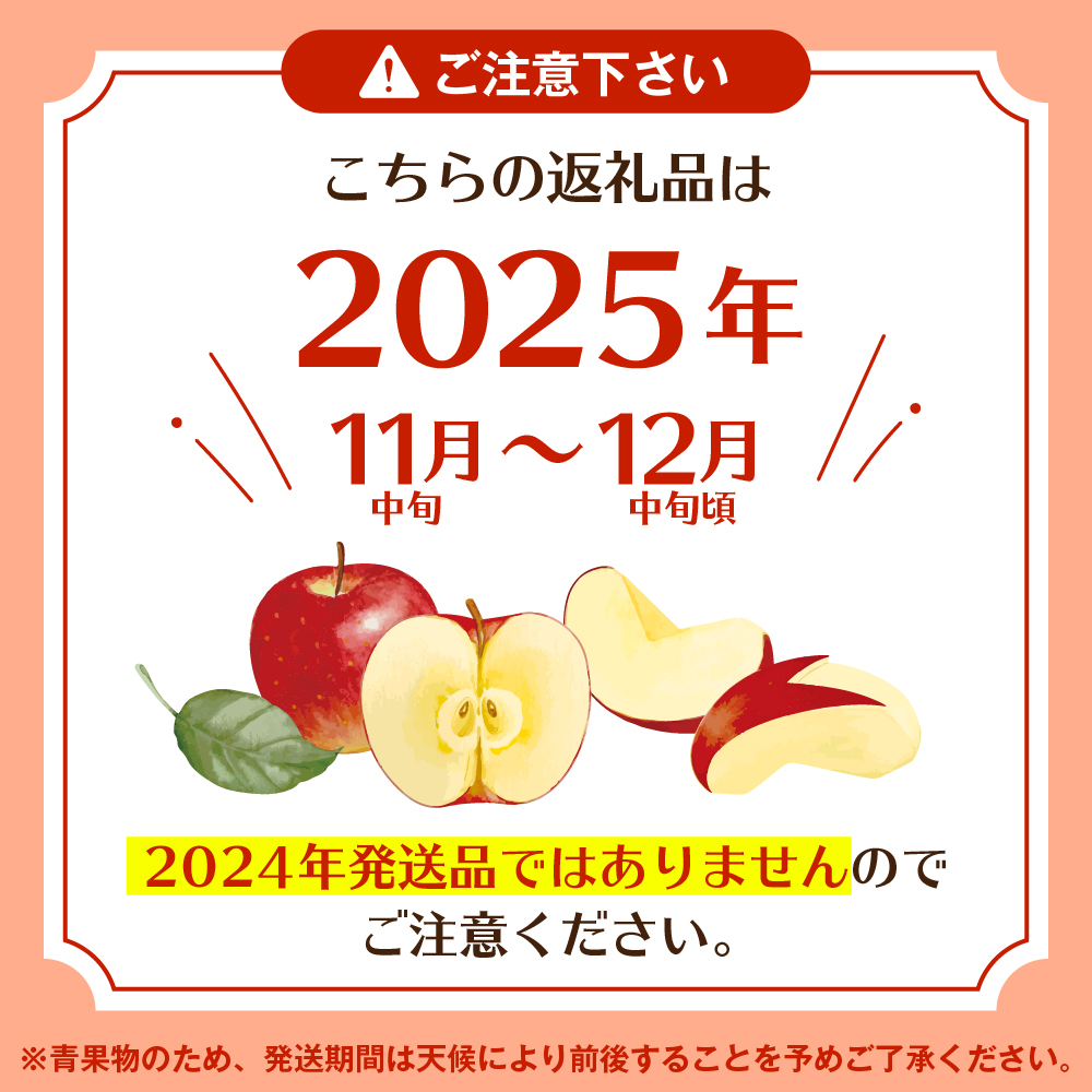 【2025年 先行予約】2025年産 りんご サンふじ 約10kg(32〜36玉入) 山形県 東根市　hi026-014-2