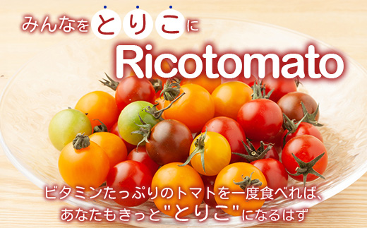 たにぐちファーム カラフルミニトマト 約1kg 『Ricotomato とりこになるトマト』 B-280