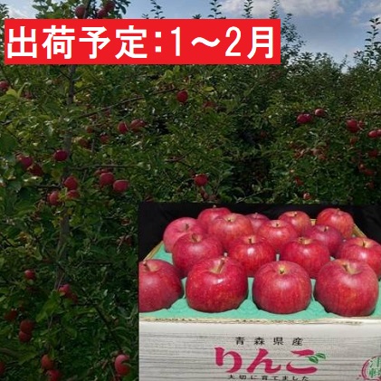 1月～2月発送 最高等級「特選」大玉 葉とらず サンふじ 約5kg 糖度14度以上 【 弘前市産 青森りんご 】