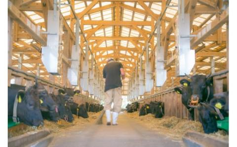 黒毛和牛のホルモンミックス<約800g>+黒毛和牛牛すじだらけのカレーセット