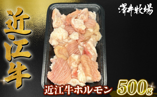 
近江牛 ホルモン 500g (250g×2) ( 黒毛和牛 牛肉 肉 ギフト 焼肉 焼き肉 自宅用 高級 黒毛和牛 国産 ふるさと納税 ブランド牛 三大和牛 和牛 冷凍 贈り物 内祝い 神戸牛 松阪牛 に並ぶ 日本三大和牛 滋賀県 竜王町 澤井牧場 )
