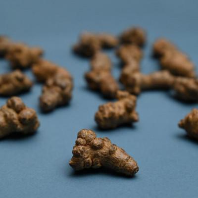 ふるさと納税 奈良市 発酵田七人参　「金不換」と称される貴重な高麗人参の仲間　60g(1.5g×40包) |  | 03