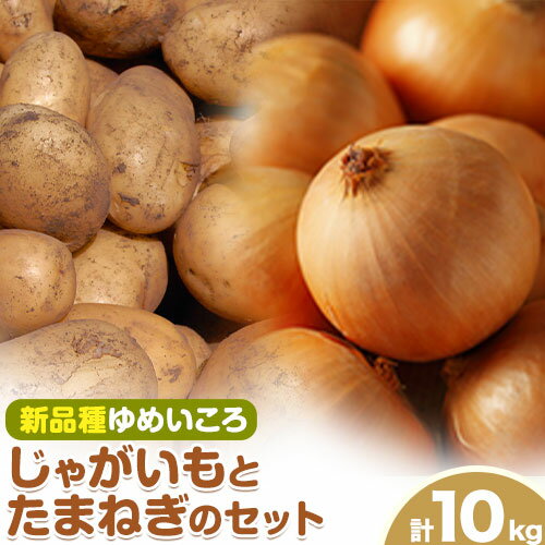 【ふるさと納税】じゃがいも（ゆめいころ）とたまねぎのセット 合計約10kg 野菜 《10月中旬から順次出荷》橋枝物産 北海道 浦幌町