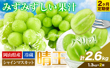 シャインマスカット 2ヶ月 定期便【先行予約】シャインマスカット 晴王 約1.3kg 岡山県産《9月上旬-10月末頃出荷(土日祝除く)》 ハレノフルーツ マスカット 送料無料 岡山県 浅口市 フルーツ 果物 贈り物 ギフト 国産 岡山県産【配送不可地域あり】（北海道・沖縄・離島）