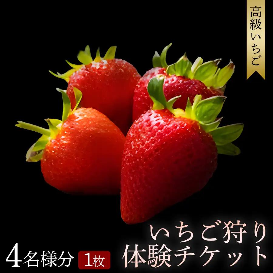 【体験】 【開催期間 2027年1月1日～5月7日】 オリジナルいちごと人気ブランドいちごの食べ比べ いちご狩り体験チケット ( 4名様分)【maato005】