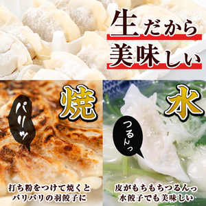 s602-B 【隔月・定期便3回】タレ付き！鹿児島うんまか豚生餃子(計108個・12個入り×9P×3回) 鹿児島 冷凍 にんにく・ニラ不使用 国産野菜100％ ぎょうざ 餃子 ギョーザ 焼き餃子 水餃