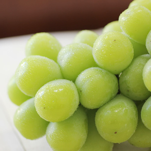 【大人気】長野県産・シャインマスカット（約2kg)秀品＜9月上旬から順次発送予定＞