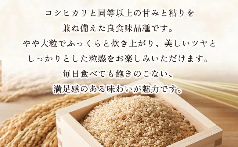 ＜にじのきらめき 玄米 約5kg 西予市宇和町産＞ 『2026年10月中旬～10月下旬迄に出荷予定』キロ 冷めてもおいしい げんまい お米 ライス コメ こめ 宇和米 うわまい ご飯 ごはん 送料無料