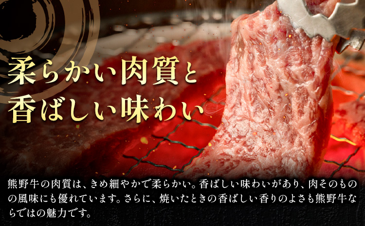 牛肉 熊野牛 霜降り スライス 1kg グリーンファーム《30日以内に出荷予定(土日祝除く)》和歌山県 日高川町 熊野牛 スライス しゃぶしゃぶ すき焼きst-p