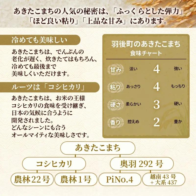 令和8年産 定期便 あきたこまち 10kg 全6回 秋田 米 あきたこまち