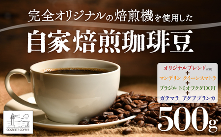 自家焙煎 コーヒー豆 オリジナルブレンド×2・マンデリン クイーンスマトラ・ブラジル トミオフクダ・ガテマラ アグアブランカ 各100g×5個セット 500g