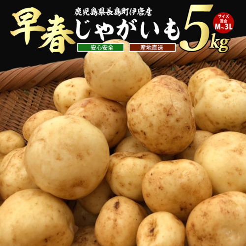 【先行予約】＜数量・期間限定＞ホックホク甘さがある伊唐産早春じゃがいも(約5kg)【旬感foods】horino-7075