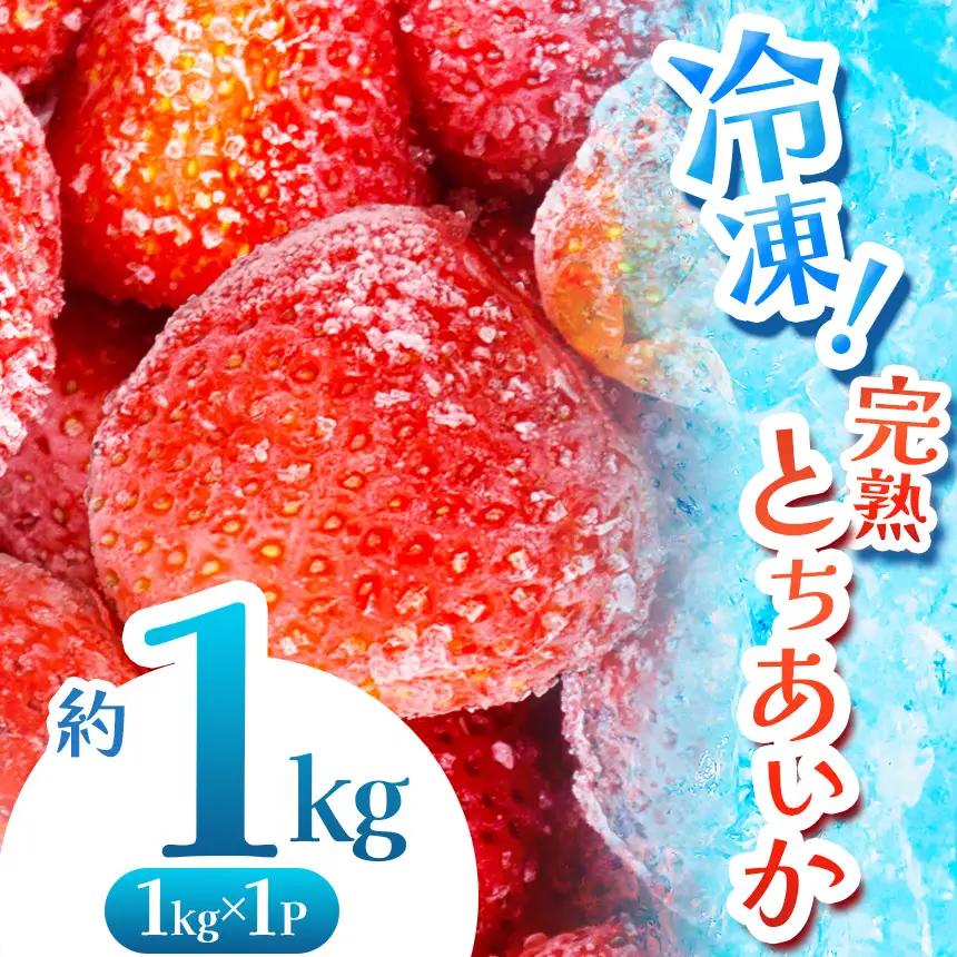 【数量限定】 完熟！冷凍とちあいか 約1kg