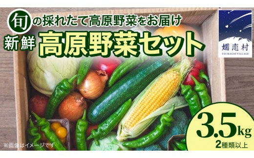 
                  【7月中旬発送開始】 旬の採れたて 新鮮 高原野菜 セット 3.5kg 2種以上 野菜 旬の野菜 夏野菜 野菜セット ズッキーニ とうもろこし いんげん 嬬恋村 高原野菜 先行予約 [BT001tu]
                