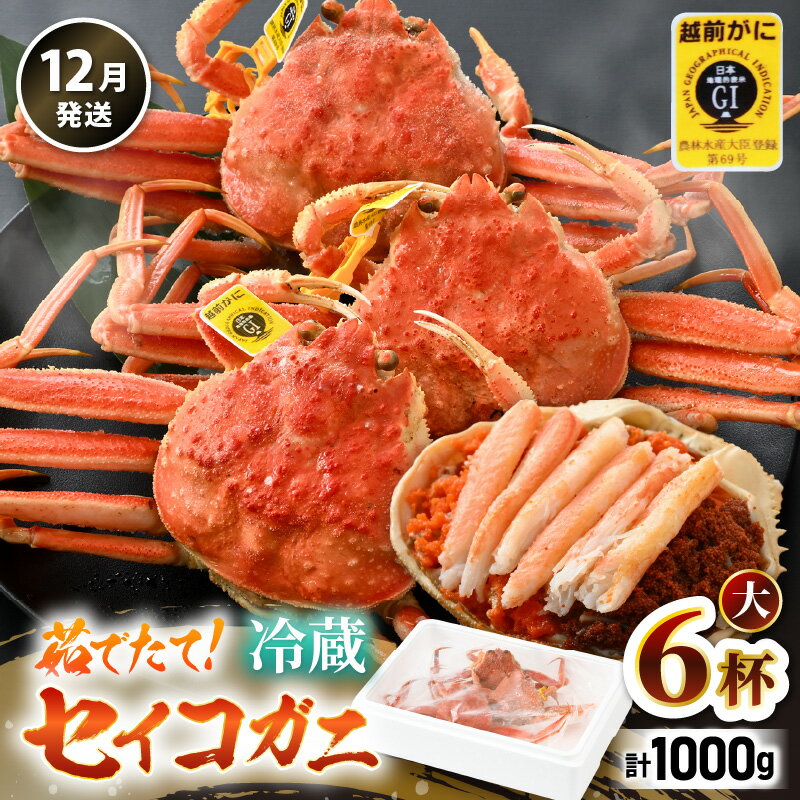 【ふるさと納税】【先行予約】【冷蔵】旬のセイコガニ 大 6杯 計1.0kg以上（茹で前）説明書付き 全て地物！【2025年12月上旬以降順次発送予定】 天然！ ズワイガニメス せいこがに