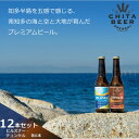 【ふるさと納税】知多マリンビール 12本セット (ピルスナー・デュンケル 各6本) クラフトビール【配送不可地域：離島】【1440962】