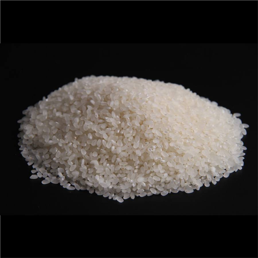 【令和6年産新米】＜丹後岩木ファーム＞京都丹後産特別栽培米コシヒカリ5kg×1袋