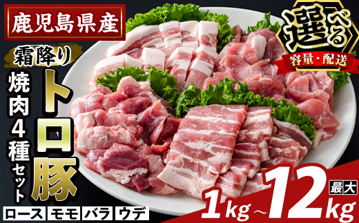
                  K-379 ＜選べる容量・配送＞鹿児島県産霜降りトロ豚 焼肉用バラエティセット(計1kg〜3kg・定期便 3回・6回・12回)【ふるさと産直バザール】霧島市 ロース バラ ウデ モモ 焼き肉 ヤキニク 豚肉 国産 鹿児島県産 肉 精肉 小分け セット 食べ比べ
                