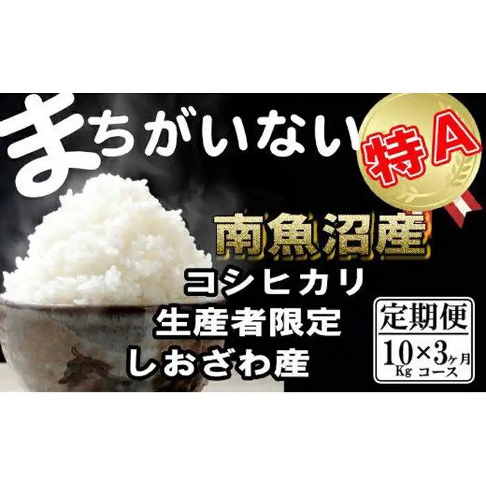 【令和7年産】【定期便】生産者限定 契約栽培　南魚沼しおざわ産コシヒカリ（10Kg×3ヶ月）【定期便 銘柄米 ブランド米 精米 こしひかり コシヒカリ 魚沼産 新潟米 産地直送 お米 米 こめ コメ ご飯 御飯 ごはん】