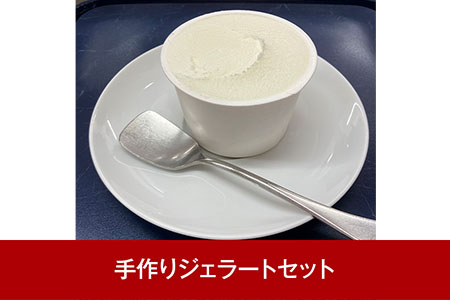 手作りジェラートセット 乳化安定剤・卵・小麦不使用 ジェラートマエストロの作るアイスのセット【010P198】