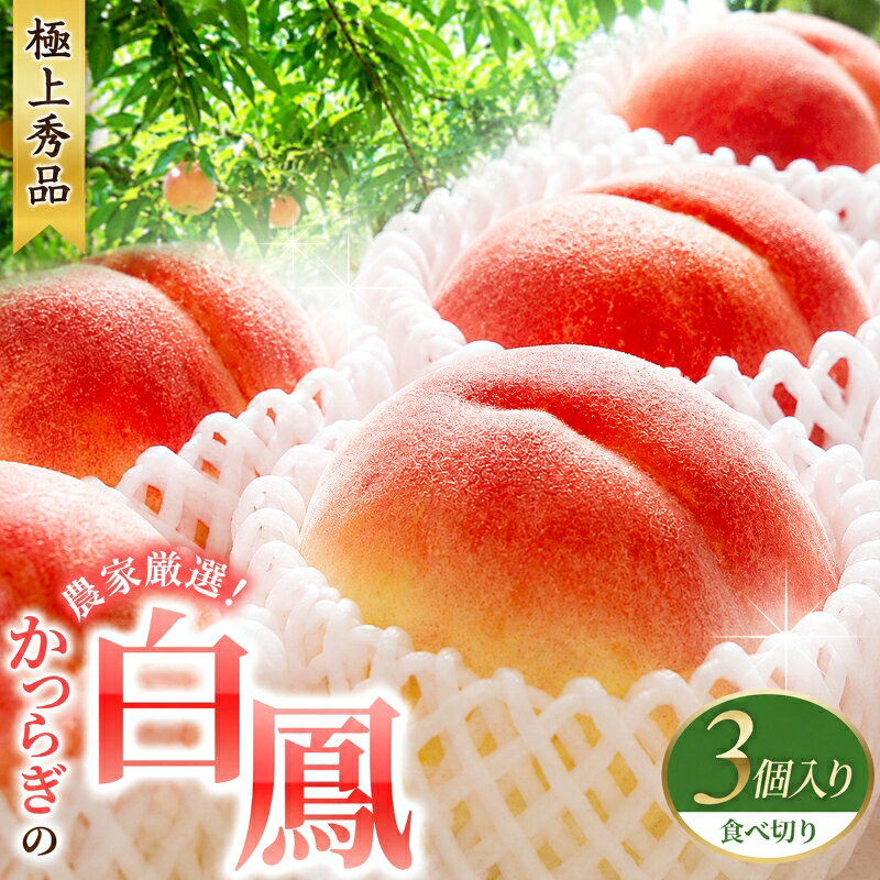 【ふるさと納税】 先行販売！【モモ】 白鳳 桃の王様！食べきりやすい3個入り 【秀品】こだわり農家厳選 / もも フルーツ 果物 くだもの 食品 人気 おすすめ 送料無料 ※2027年6月末頃～7月末頃に順次発送予定（お届け日指定不可） ※離島への配送不可 //best