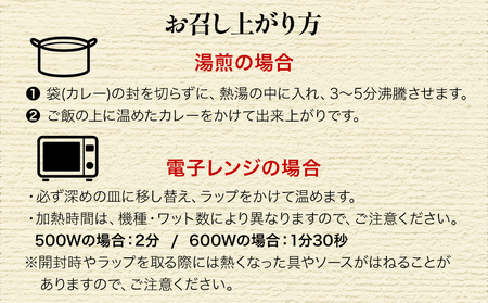 大分 豊後牛 ビーフ カレー 10袋 セット | カレー 津久見市