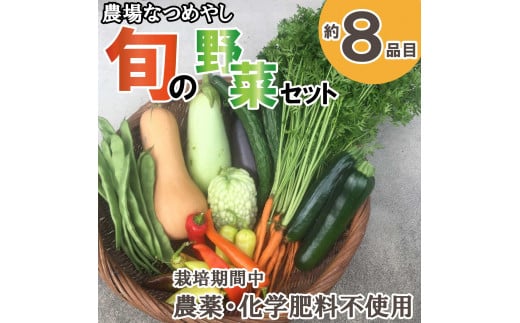 
農場なつめやし　旬の野菜セット（栽培期間中、農薬・化学肥料不使用）[814]
