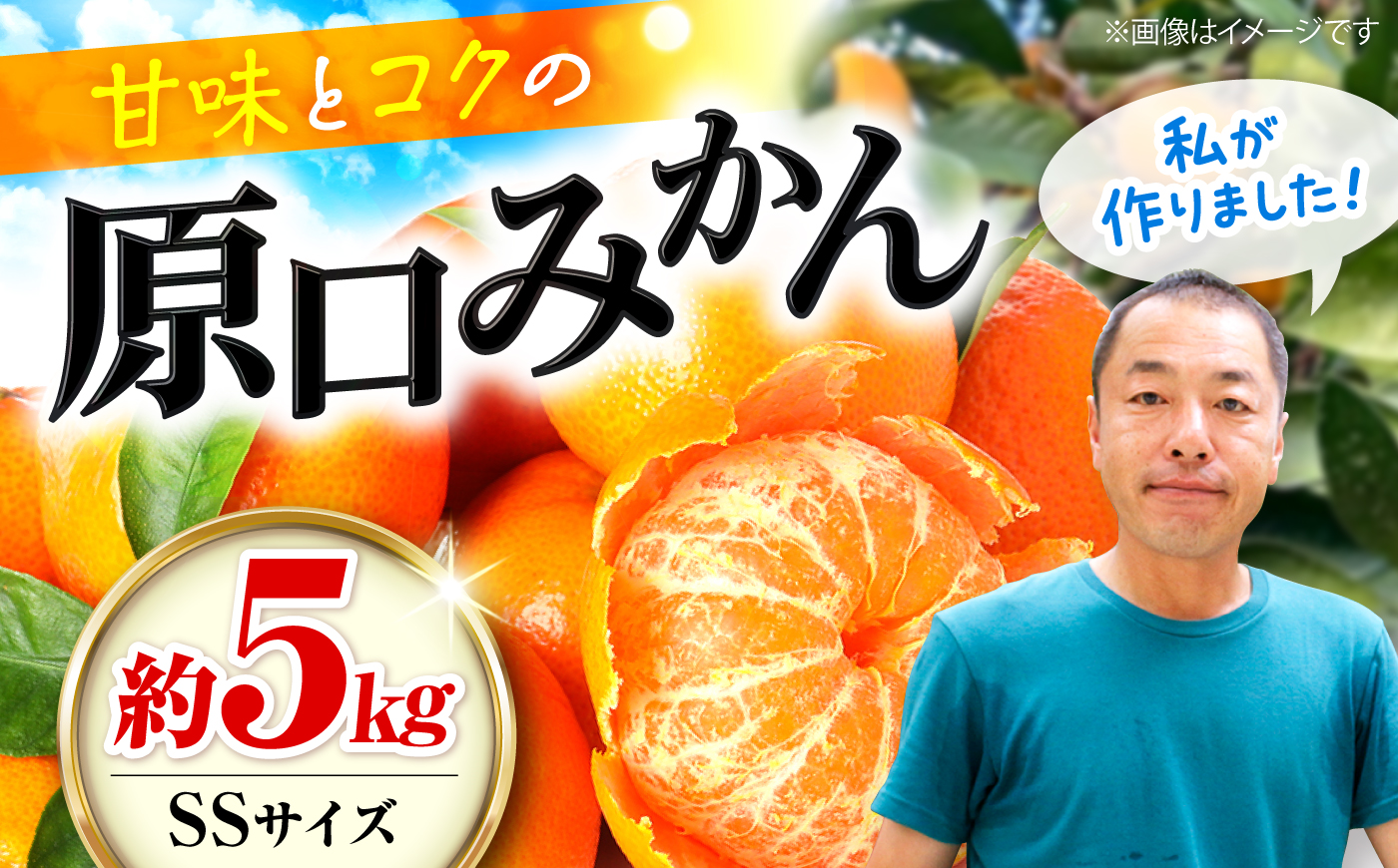 みかん 原口みかん 約 5kg（SSサイズ） ＜山田果樹園＞ [CCX010] みかん ミカン 蜜柑 柑橘 みかん 温州みかん 贈答 みかん 産地直送 フルーツ 果実 果物 贈答用 あまい ビタミン 