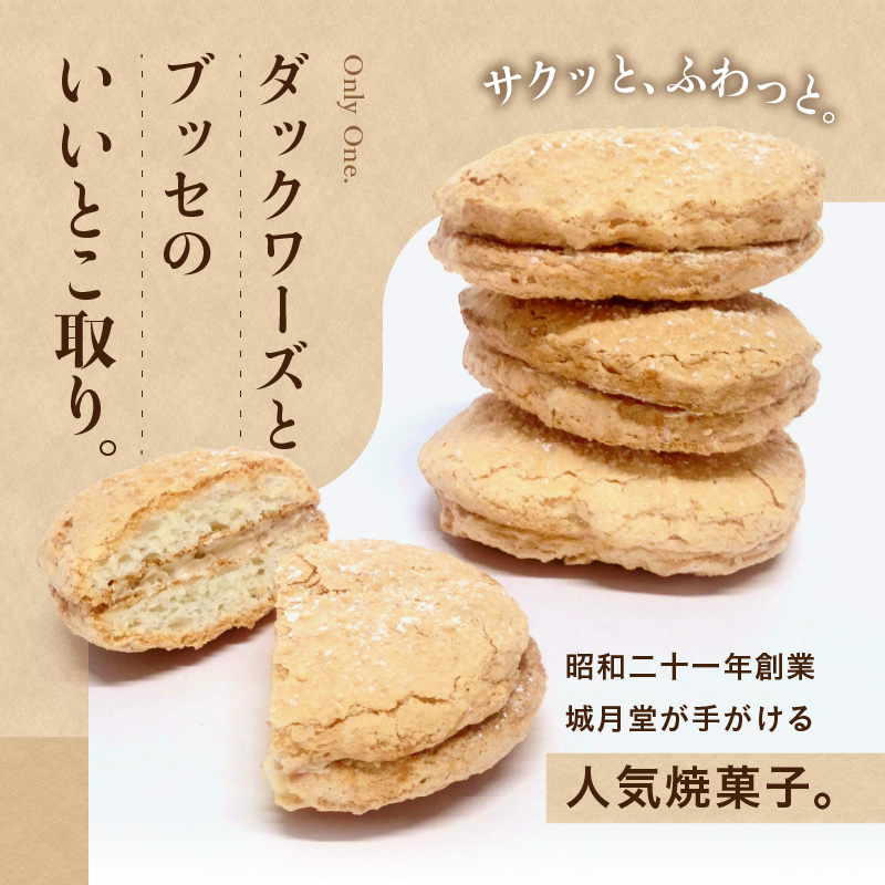 【伊万里名物】伊万里街道（8個入） 021-F167