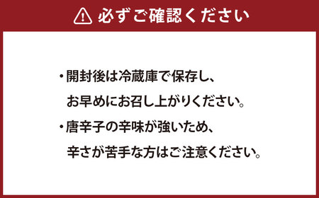 発酵料理人が考えた発酵万能調味料！阿蘇（あそ）とヤンニョム（薬念）を掛け合わせて生まれた「あそやむ」 100g×2個 計200g ／ ヤンニョム 調味料 発酵調味料 発酵 万能調味料 万能  ヴィーガ